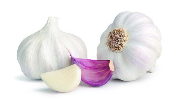 garlic