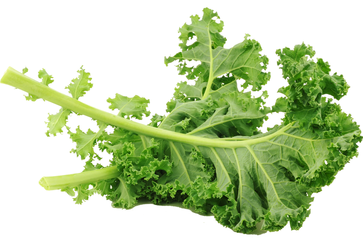 Kale