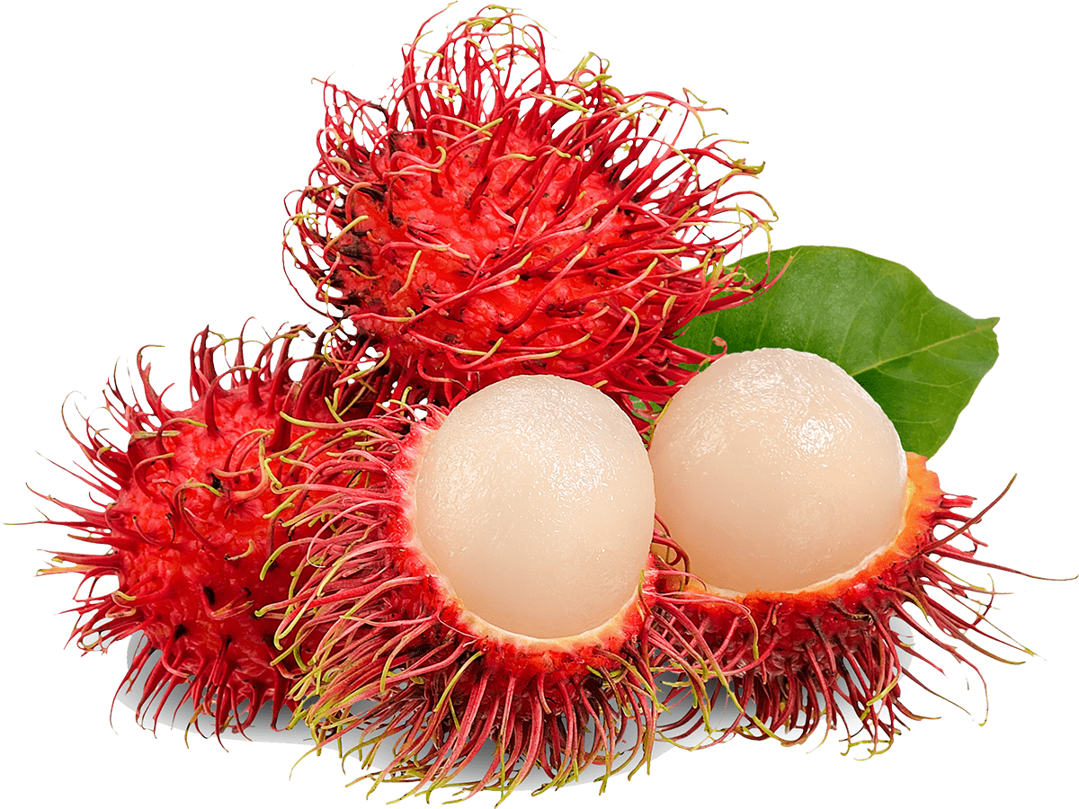 Rambután