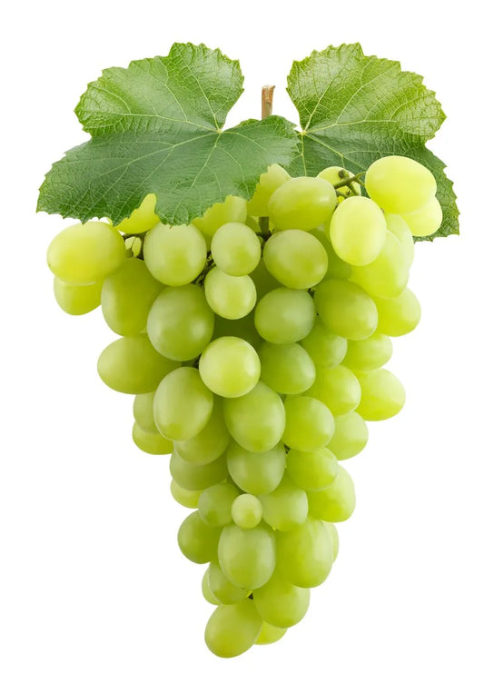 Grape (seedless)
