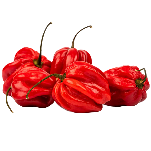 Red Habanero Pepper