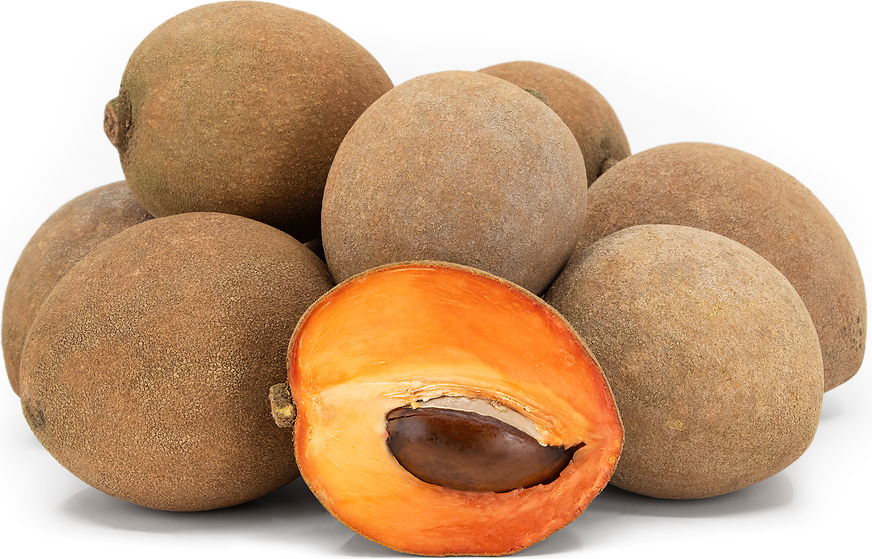Mamey Sapote