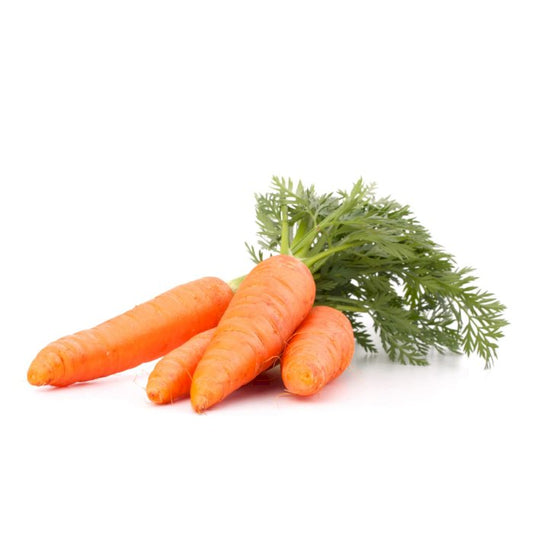 Carrot