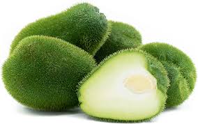 Chayote con Espinas