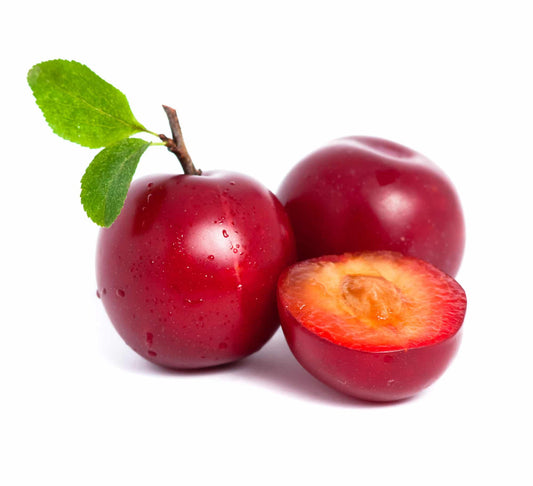 Ciruela Roja