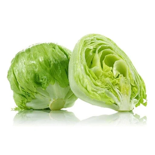 Iceberg Lettuce