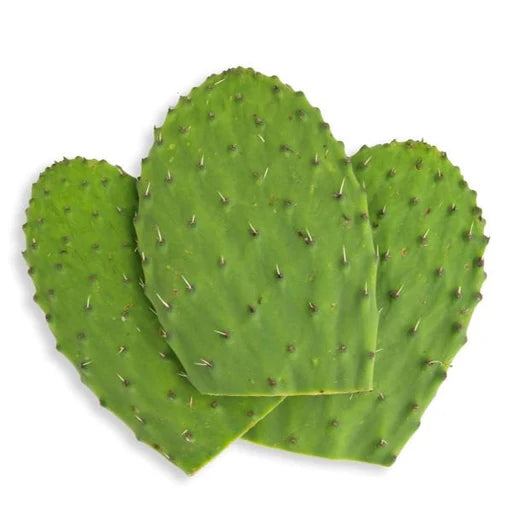 Prickly pear