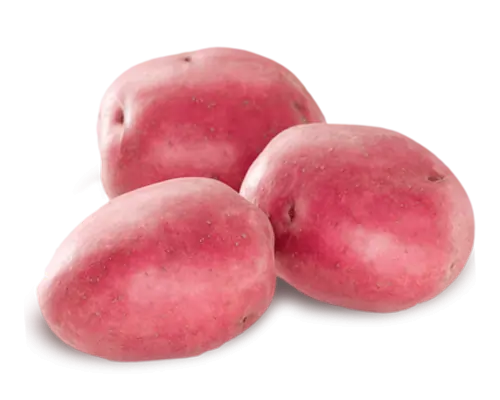 Red potato
