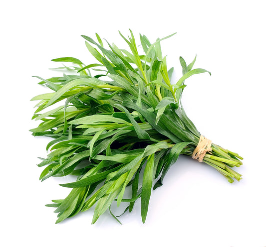 Tarragon (Estragón)